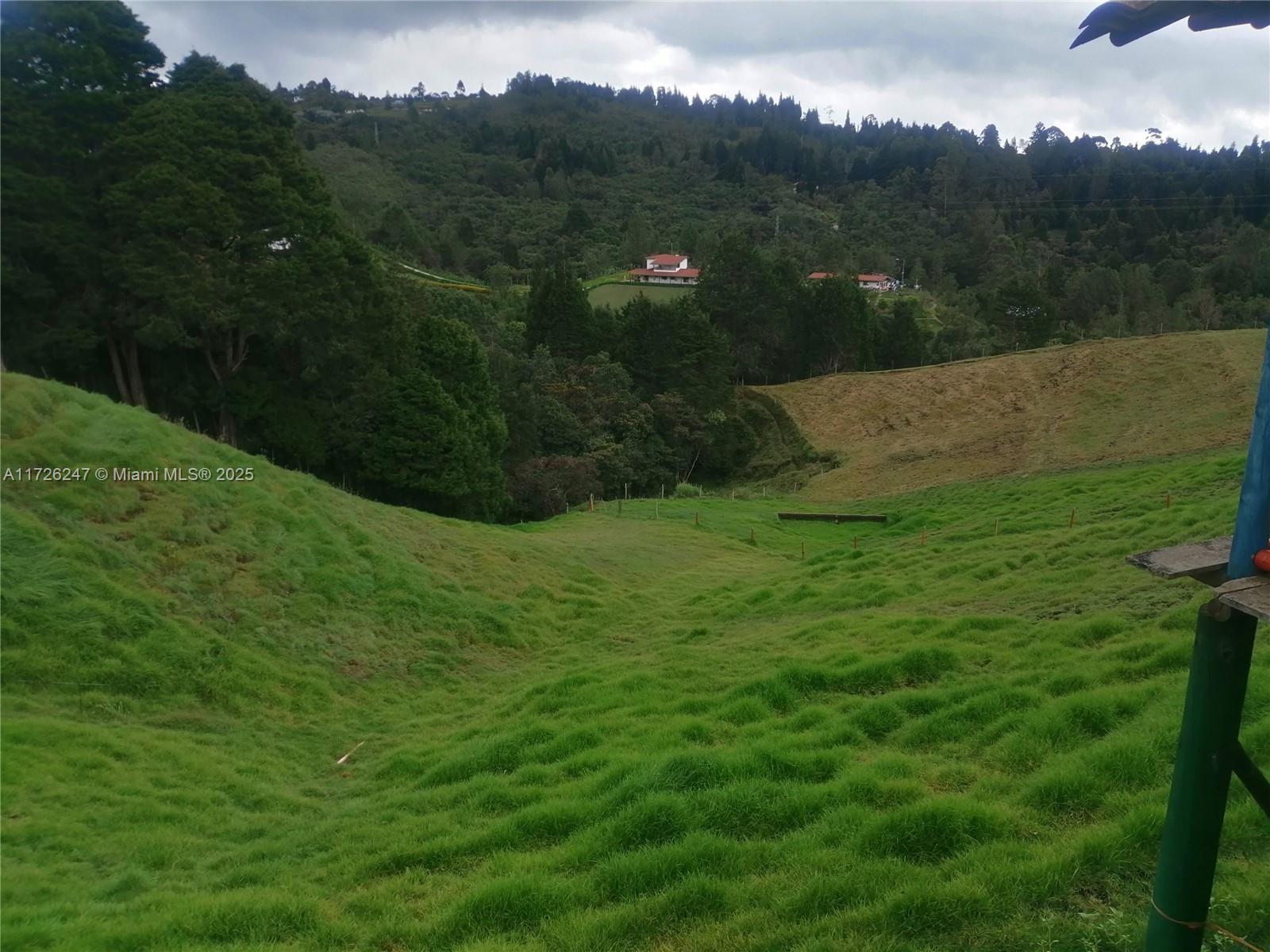 TIERRA BUENA - Land