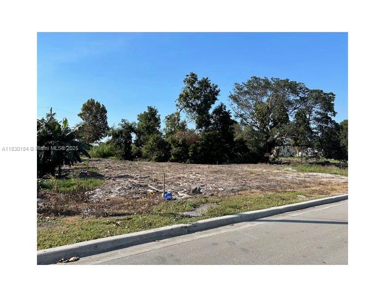 BEUTIFUL VACANT LAND ZONED RH/MULTI-FAMILY RESIDENTIAL (HIGH DENSITY) DISTRICT
17424SQFT