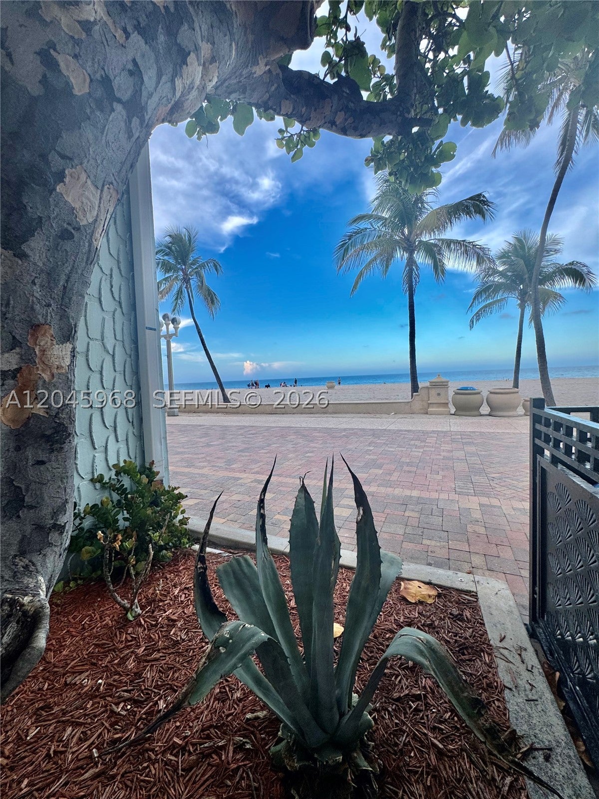 400 N Surf Rd RGB, Hollywood FL 33019