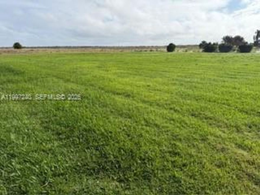 Build your dream home at Lake June Pointe. This is a beautiful cleared one acre lot close to the water. The most exclusive private gated community in Lake Placid gives you access to Lake June. The area has access to amenities including shops & charming boutiques, schools, grocery stores, hospital & local restaurants. Lake June is a 3,700 acre clear water white sand bottom lake, great for all water sports. Walk to the community dock, beach, fish or swim, watch the amazing sunsets, picnic tables, a playground and bathrooms in the community park. Driving distance approximately 1.2 hours from Orlando/1.5 hours from Tampa/2.5 hours from Miami. Florida Sun.