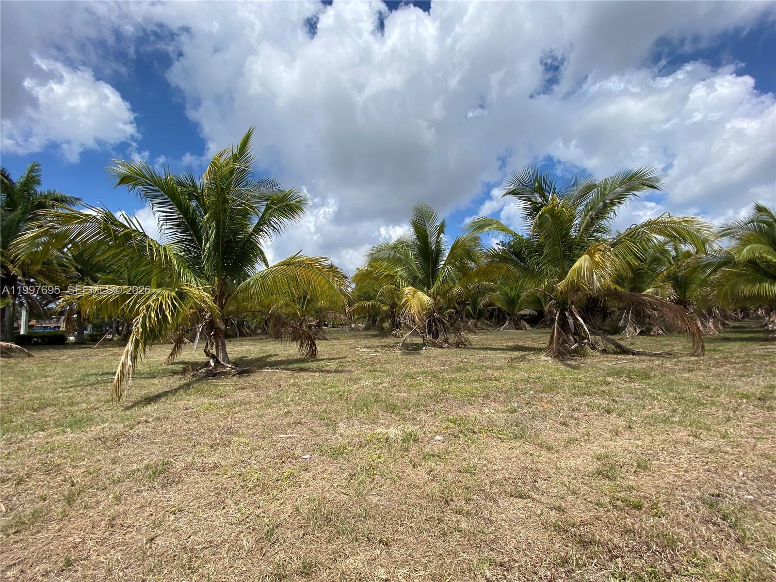 4411 Forest Hill Blvd