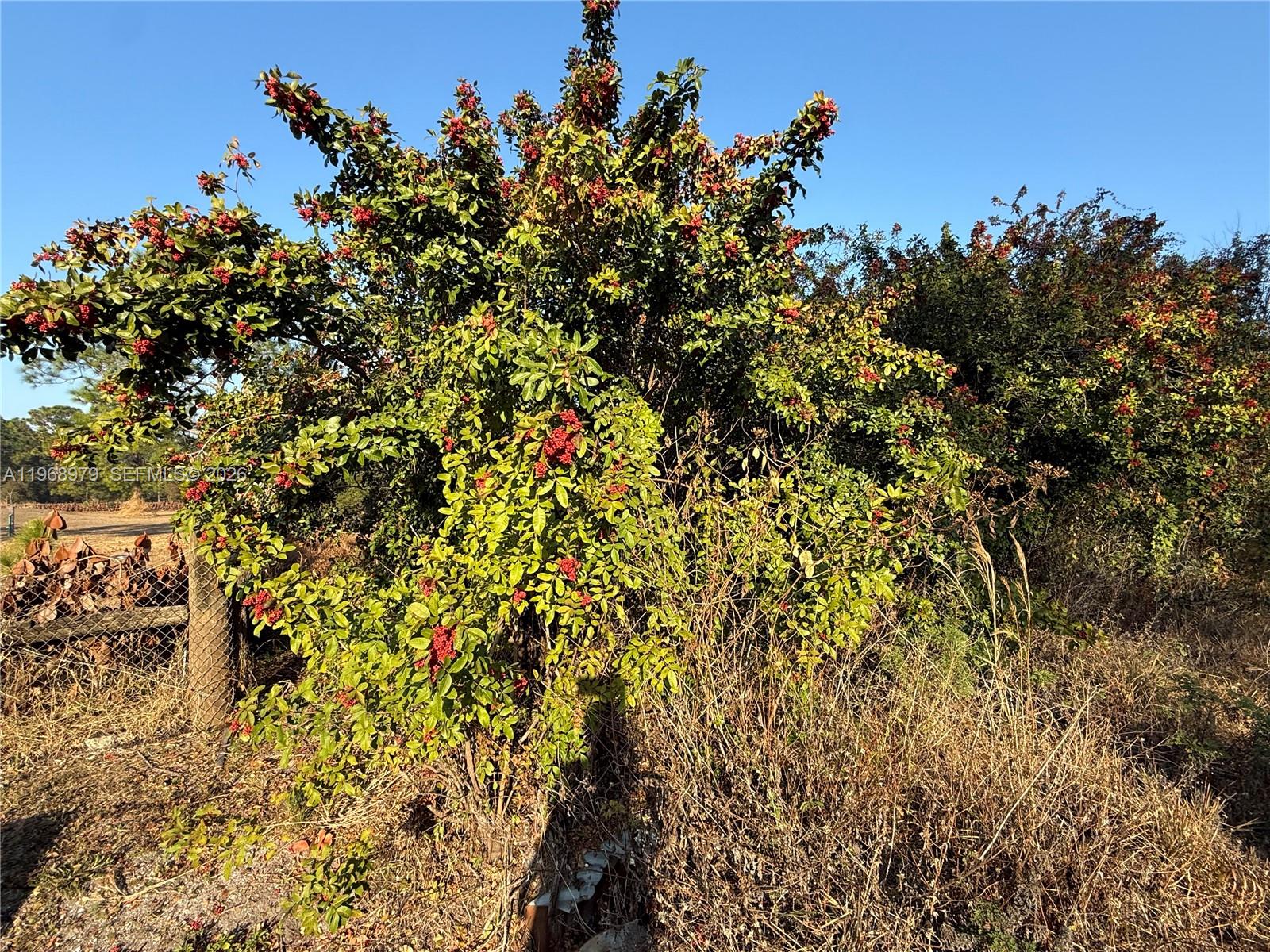 MONTURA RANCH ESTATES - Land