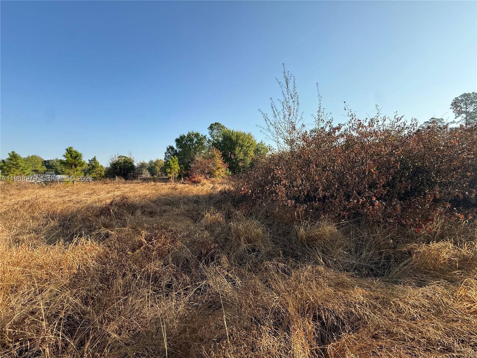 MONTURA RANCH ESTATES - Land