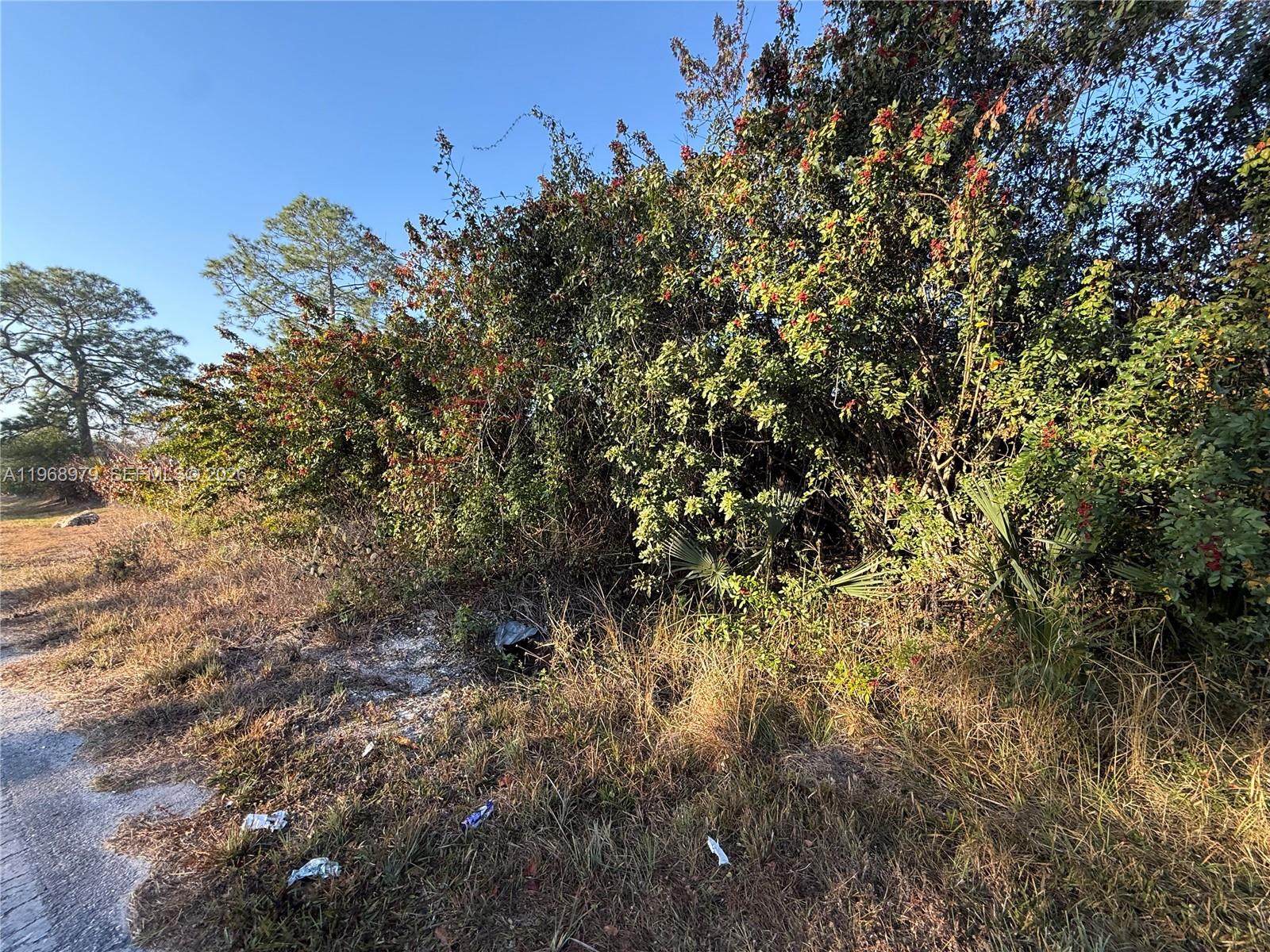 MONTURA RANCH ESTATES - Land