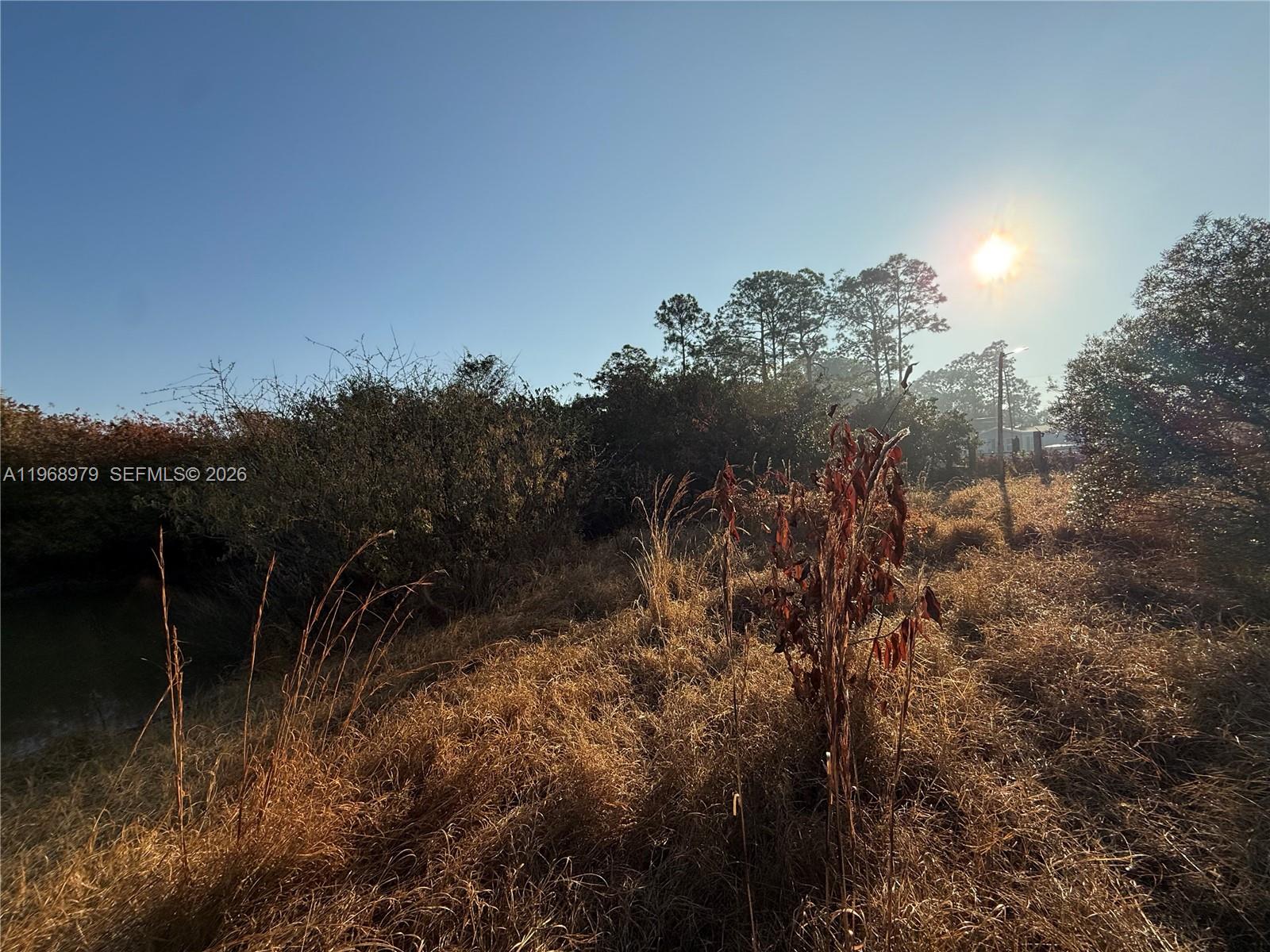 MONTURA RANCH ESTATES - Land