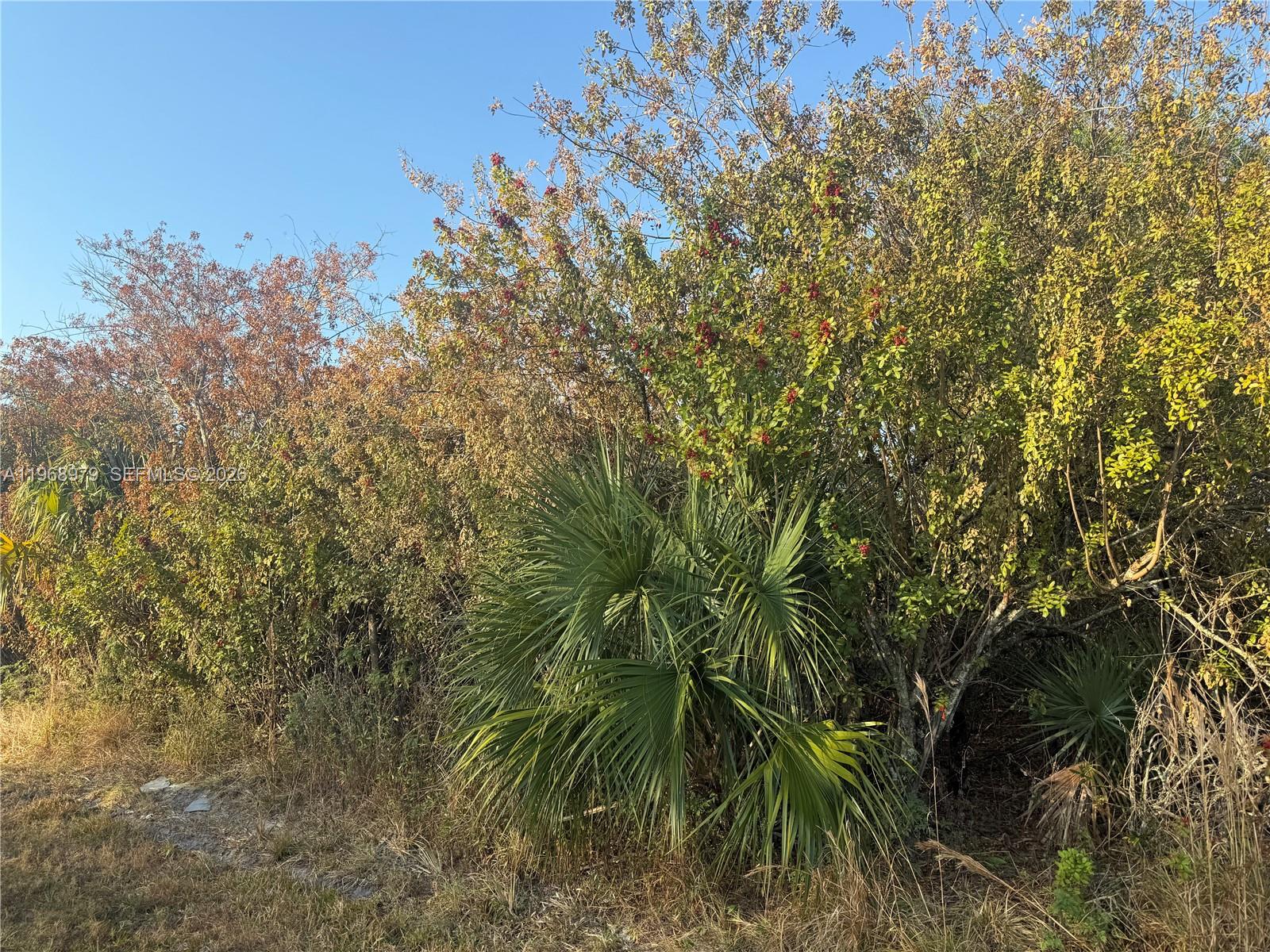 MONTURA RANCH ESTATES - Land