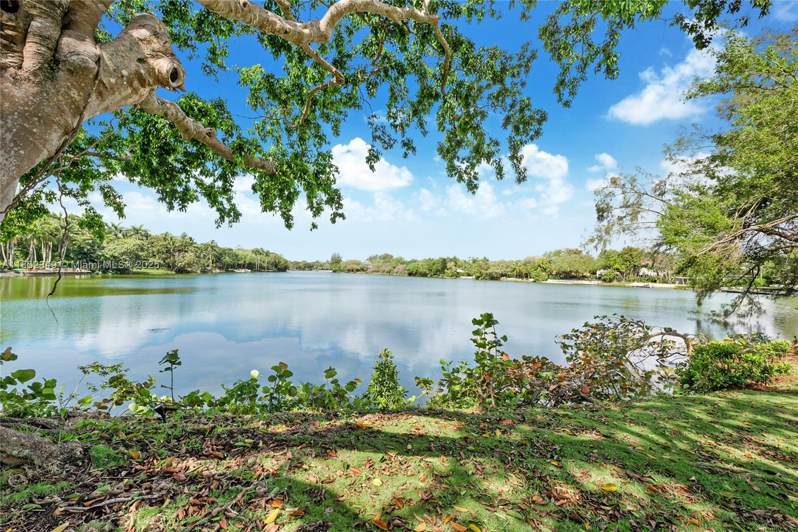 HAMMOCK LAKE NO 2 - Land