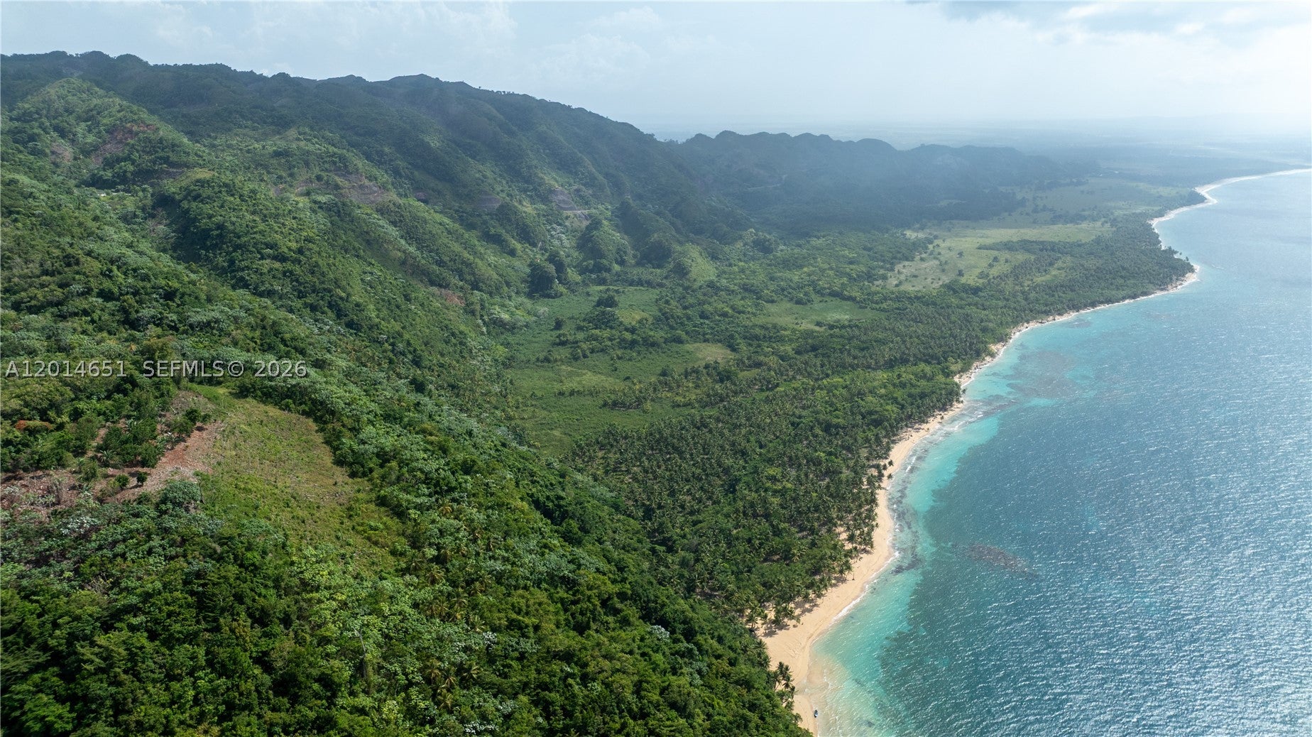 PLAYA JACKSON SAMANA