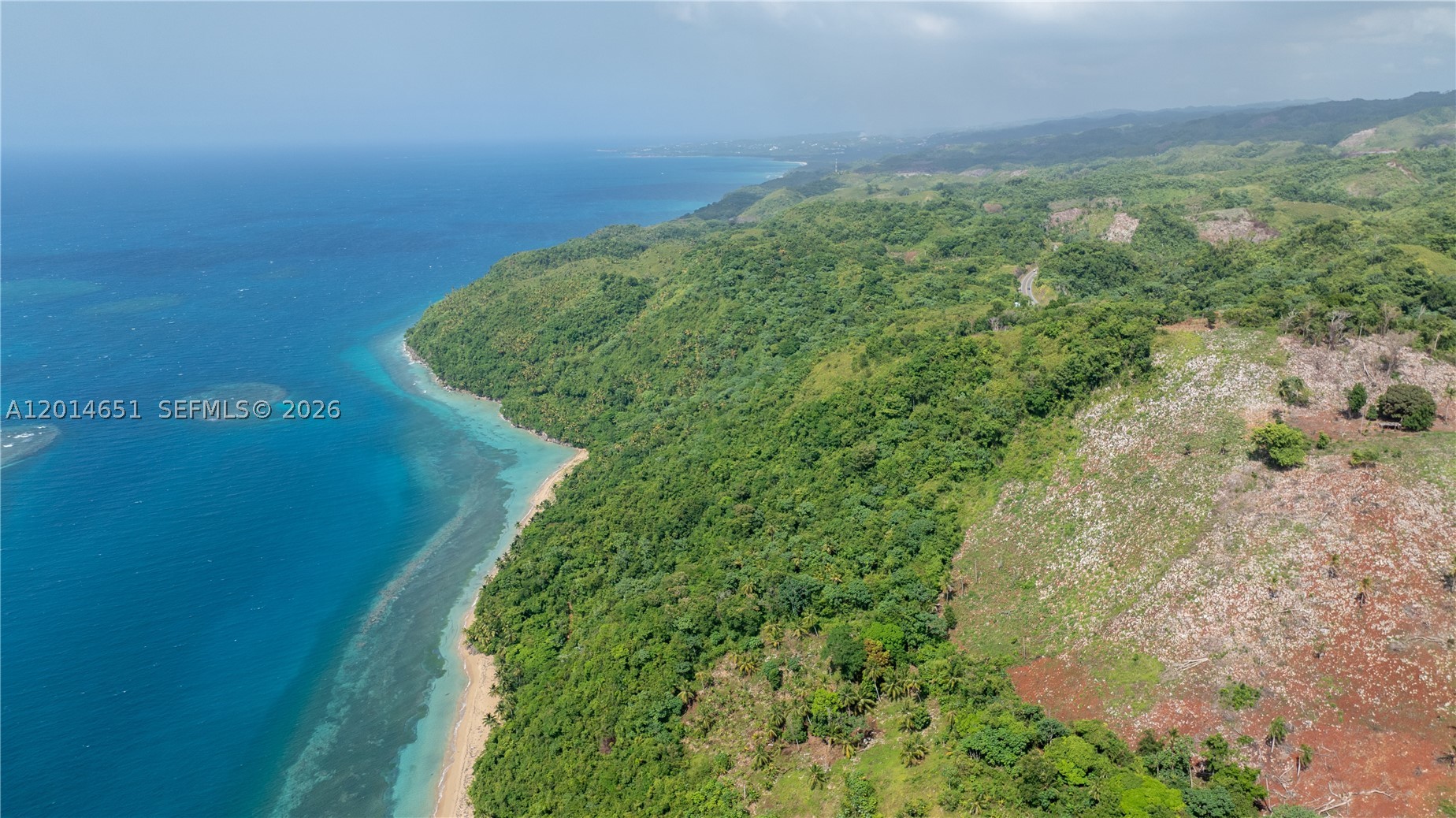 PLAYA JACKSON SAMANA