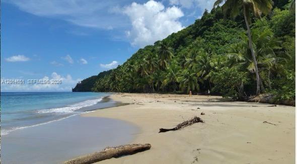 PLAYA JACKSON SAMANA