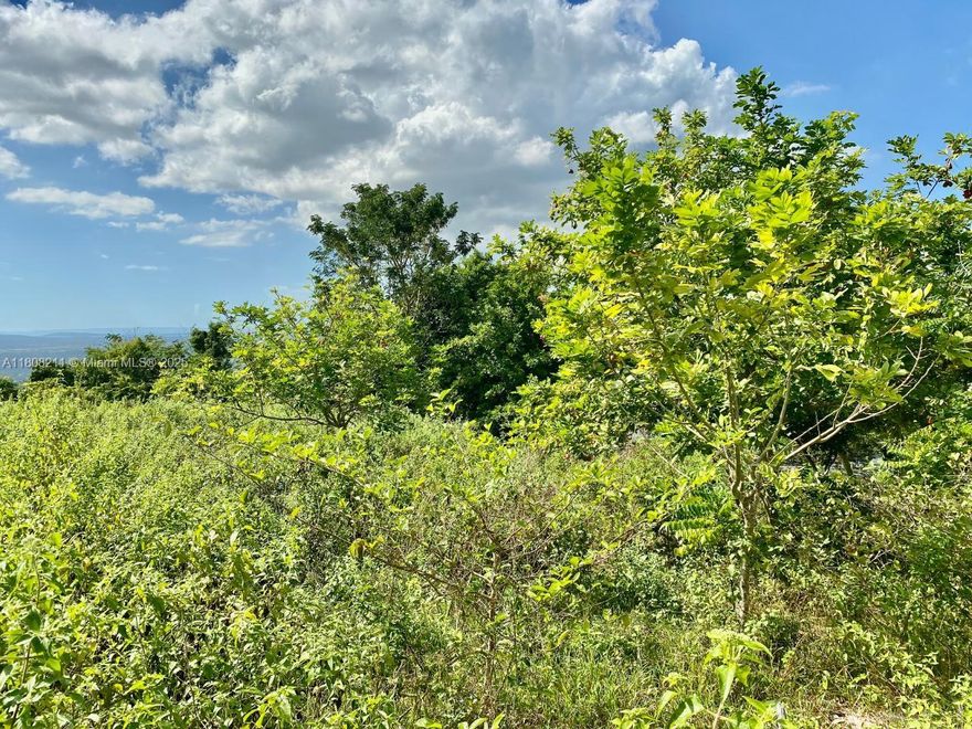 Uncover a rare 76-acre gem near the St. Ann border—rich in limestone and valuable minerals, perfect for mining, manufacturing, or eco-tourism. Imagine transforming this land into a hub for toothpaste or building material production, or developing eco-hotels, ATV trails, and zip-lines. Fertile soil supports farming, medicinal marijuana, and livestock ventures. With multiple access points and limitless potential, this property offers unmatched investment value. Whether you’re a developer, land banker, or visionary, seize this opportunity before it’s gone. The land’s true worth lies far beyond its price—secure your future today!