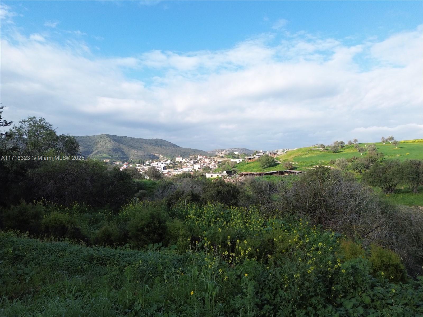 Agios Theodoros - Land