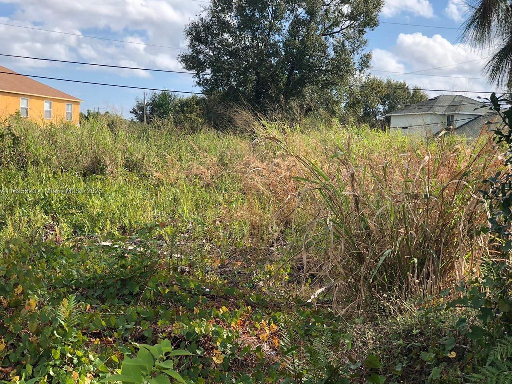 Photo of 4149 SW Bamberg St, Port St Lucie, FL 34953 (MLS # A11895920)