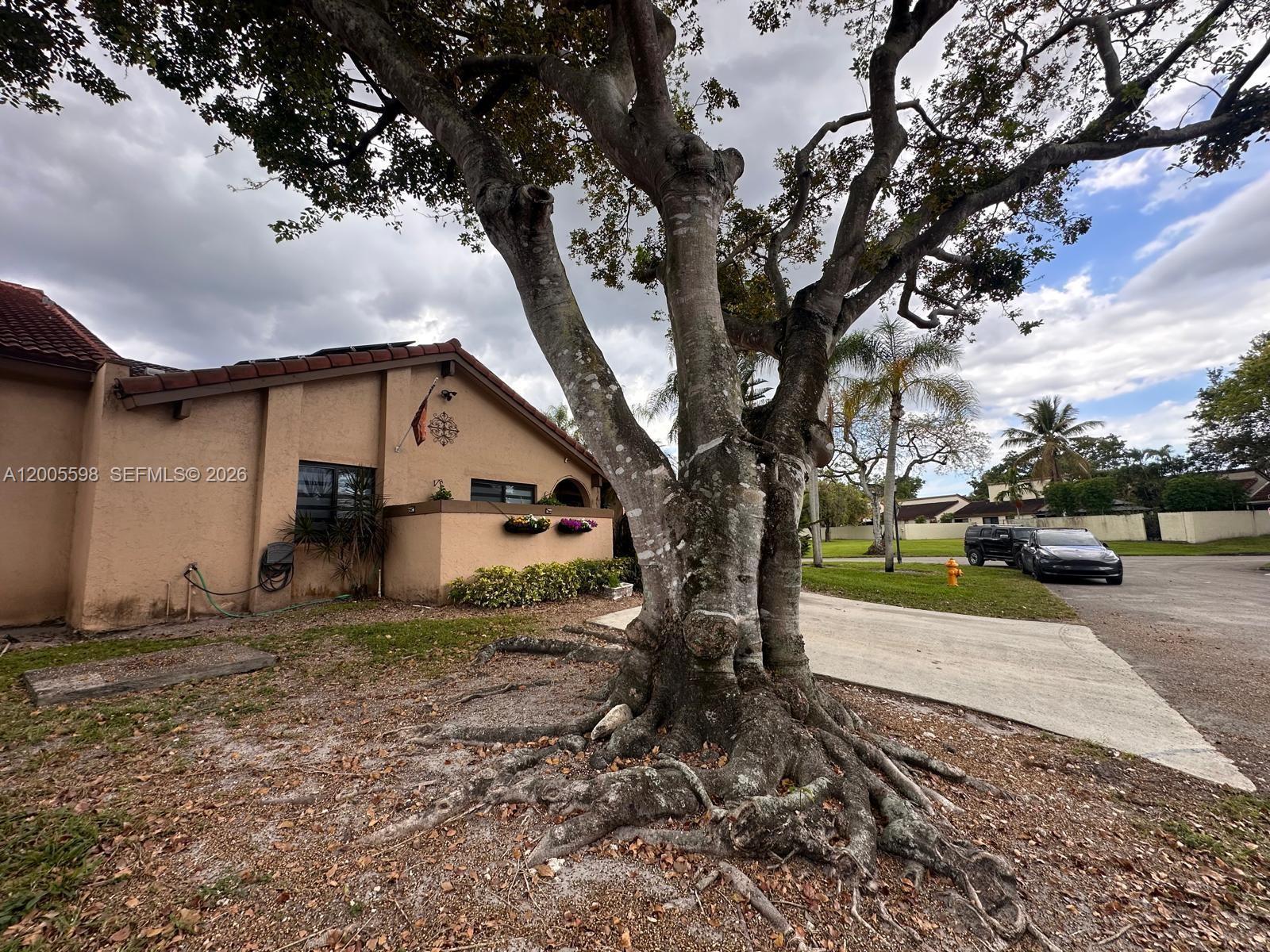 THE MOORS TOWNHOUSES - Residential