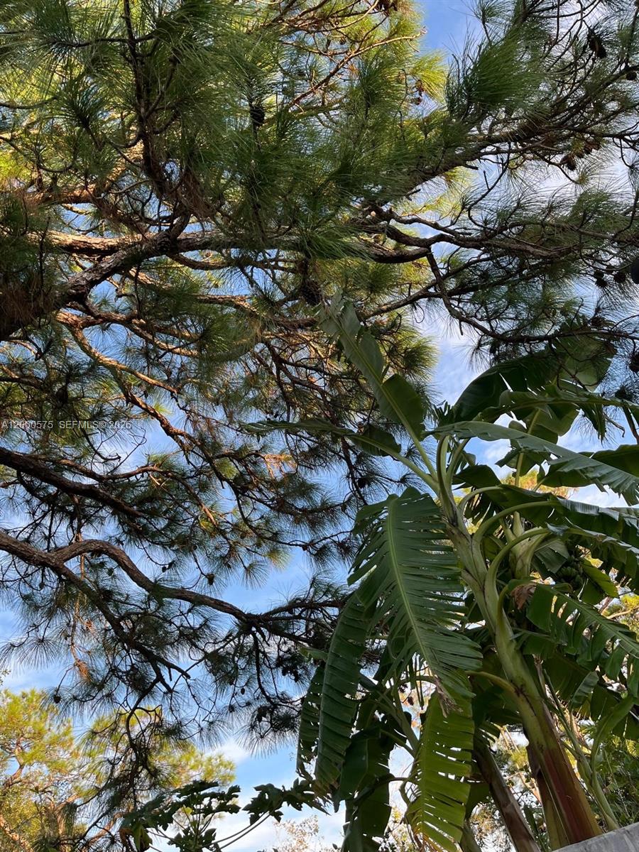 PORT ST LUCIE SECTION 13 - Residential