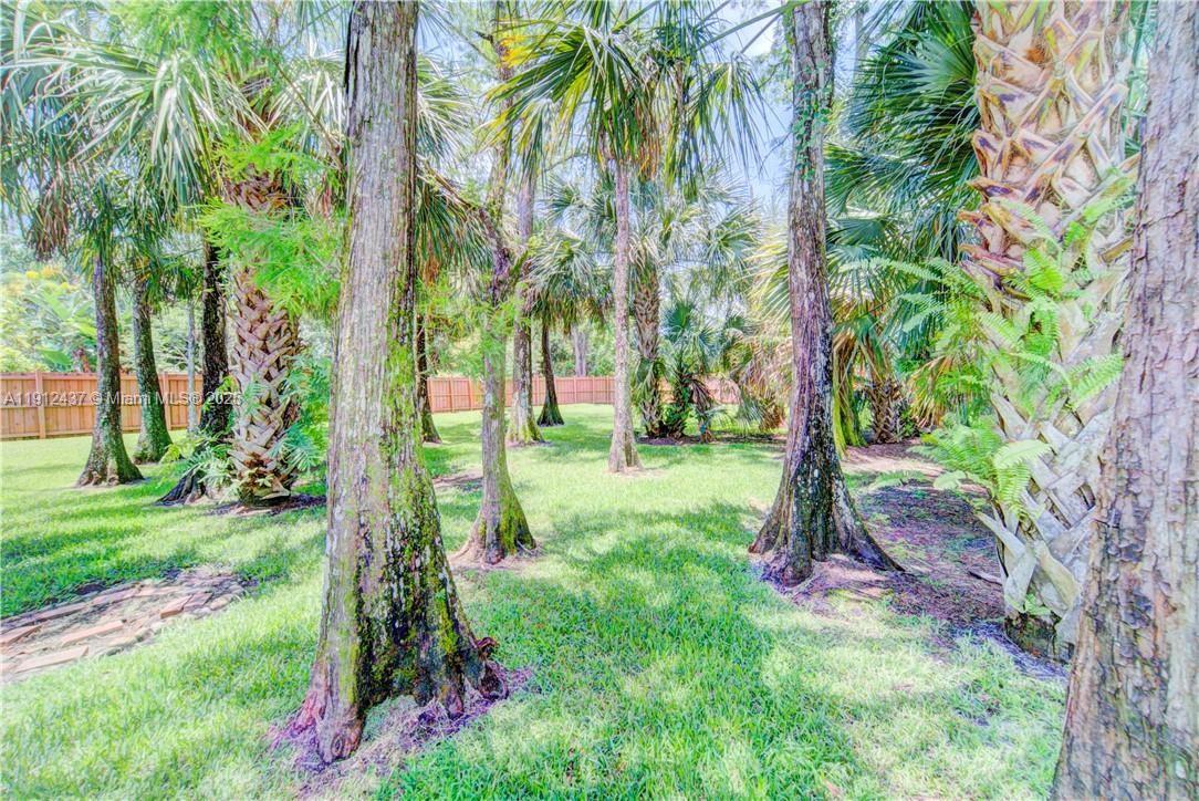 Pine Tree Estates - Residential