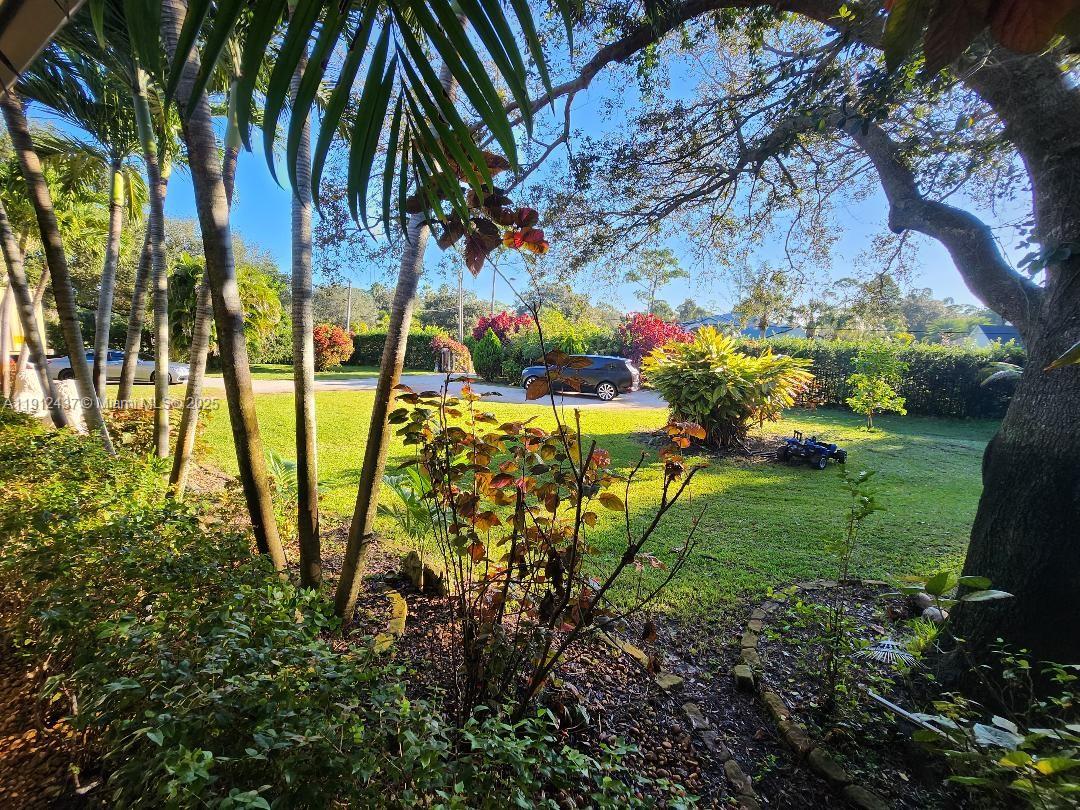 Pine Tree Estates - Residential