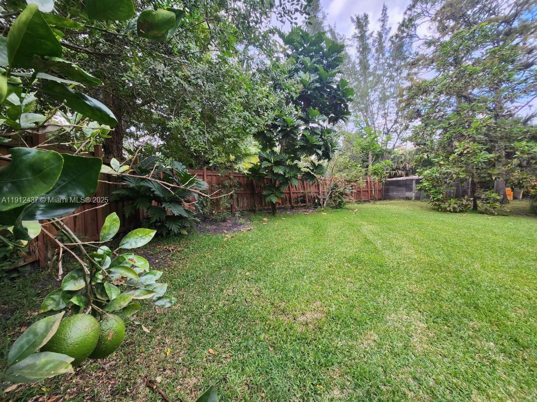 Pine Tree Estates - Residential