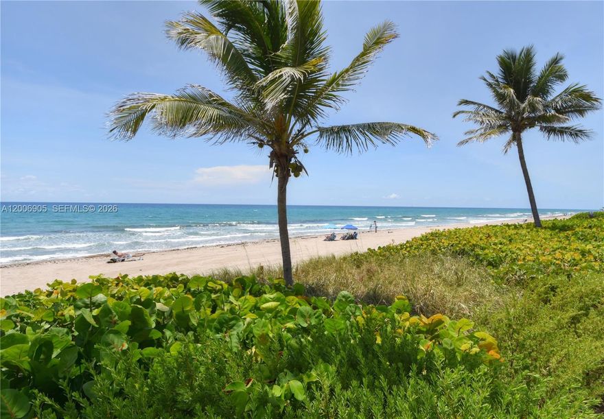 THE MOST DESIREABLE LOCATION IN THE BUILDING. FROM YOUR PRIVATE BALCONY WALK TO THE 
BEAUTIFUL POOL AND YOUR PRIVATE BEACH. SPACIOUS AND BRIGHT UNIT WITH OCEAN VIEWS AS FAR AS YOU CAN SEE. THIS BUIDING HAS COMPLETED ALL THE MILESTONE REQUIRED WORK AND ALL THE ASSESSMENTS ARE PAID. TOWN OF HIGHLAND BEACH IS A RESIDENTIAL 3 MILES PARADISE IN SOUTH FLORIDA. MINUTES TO BOCA RATON AND DELRAY BEACH. ATALNTIC AVE IN DERAY IS A CENTER FOR RESTAURANTAS & ENTERTAINMENT. BOCA RATON MIZNER PARK HAS ALL THE MEUSUMS AND SHOPPING. UNIT HAS A PARKING AND A STORAGE SPACE. 
CLUBHOUSE IS EQUIPPED WITH A KITCHEN FOR PARTIES AND A LIBRARY, GYM, SHUFFLE BOARD 
ARE SO MANY AMENITIES YOU CAN ENJOY. THIS IS THE ULTIMATE RESORT LIVING.