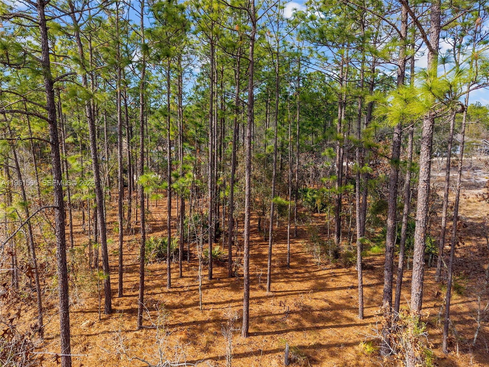 ROLLING HILLS UNIT 3 HILL - Land