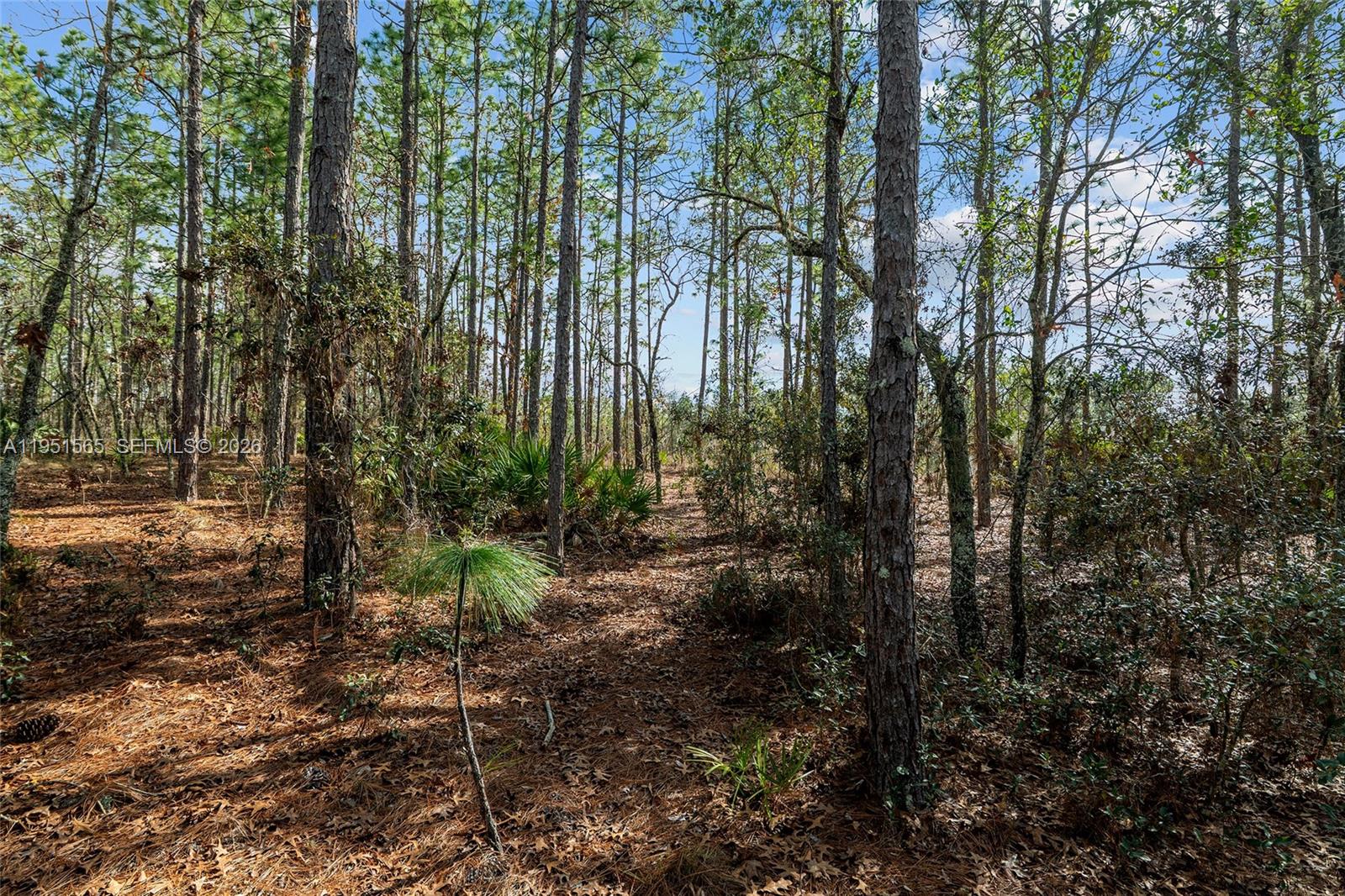 ROLLING HILLS UNIT 3 HILL - Land