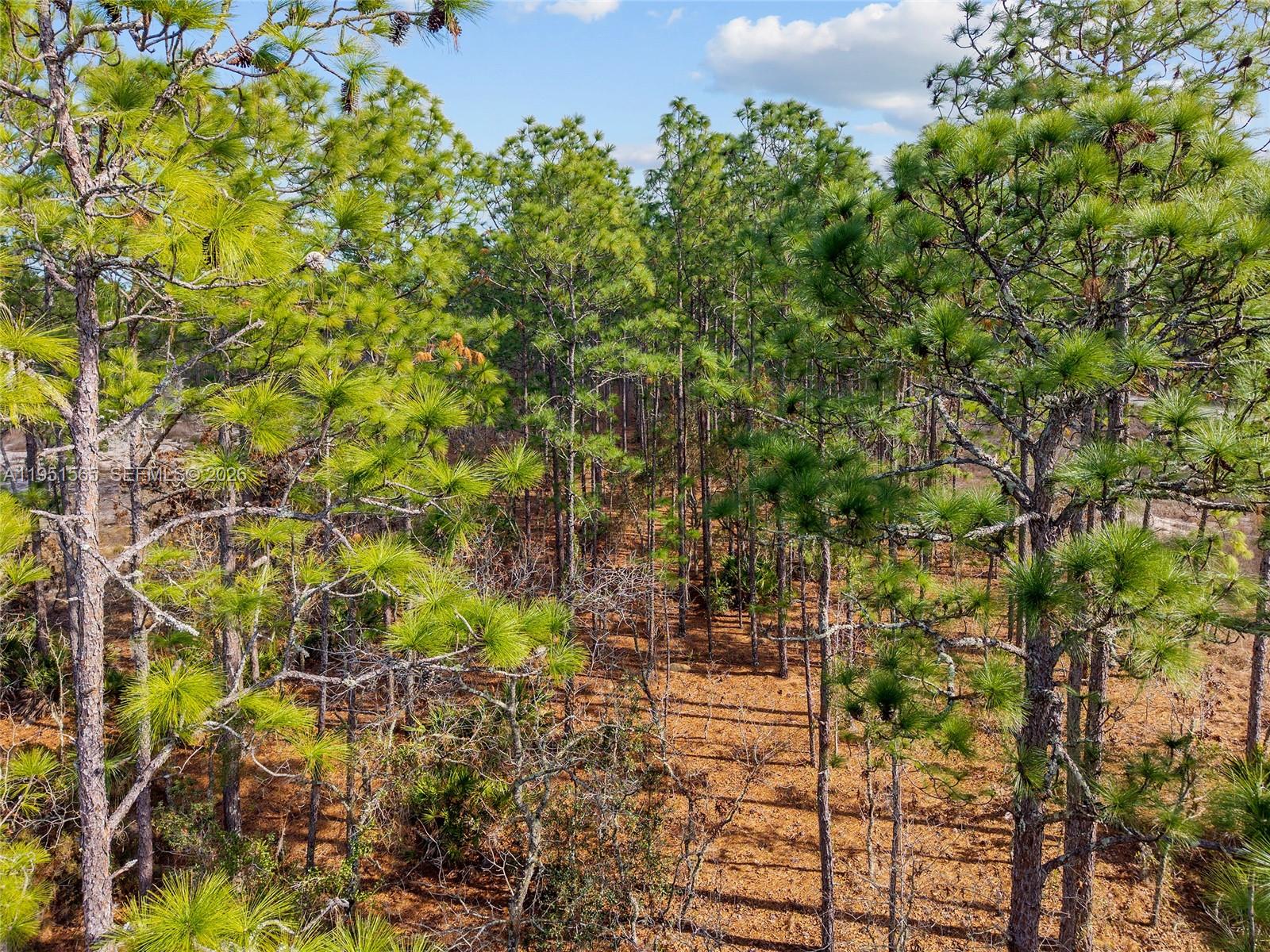 ROLLING HILLS UNIT 3 HILL - Land