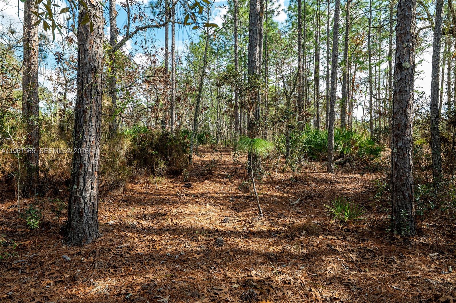 ROLLING HILLS UNIT 3 HILL - Land