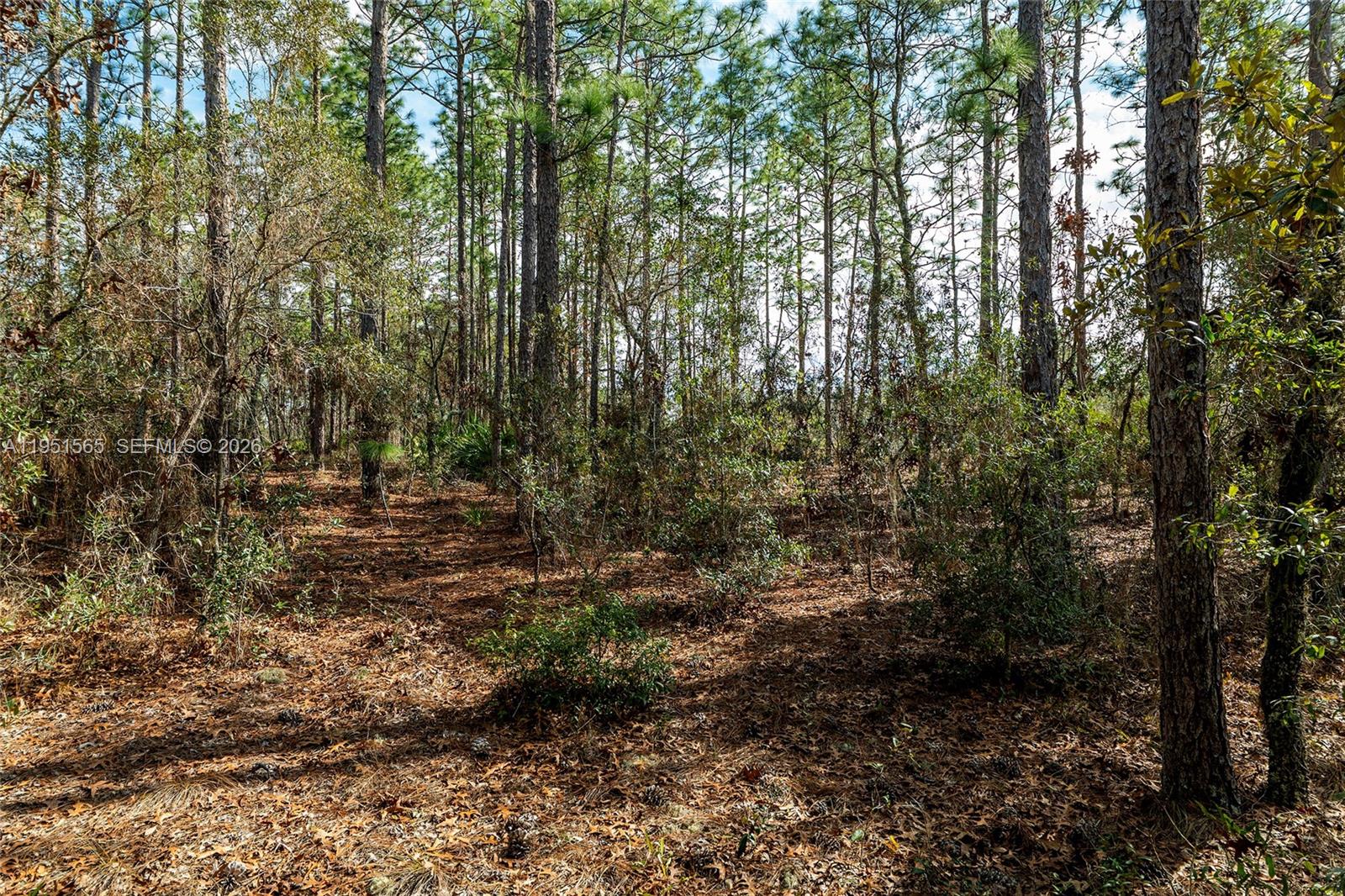 ROLLING HILLS UNIT 3 HILL - Land