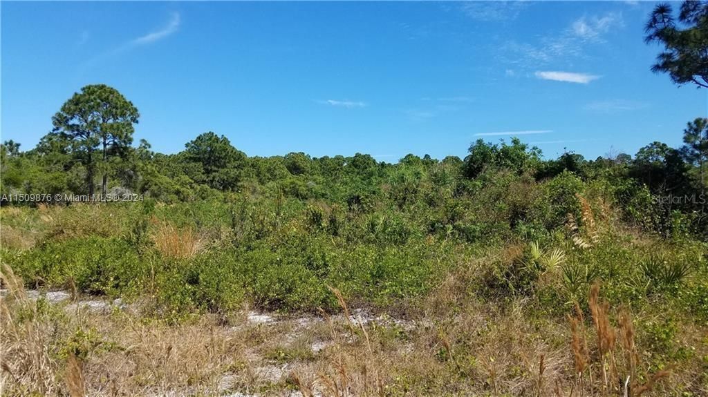 Photo of Dickens St, Fort Pierce, FL 34946 (MLS # A11509876)