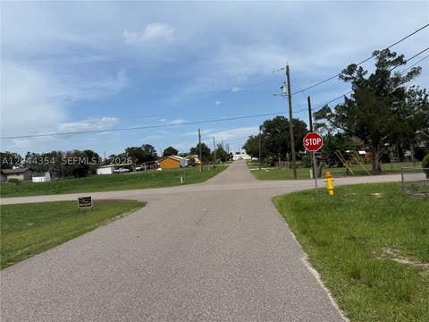 Tiny photo for 217 Palmetto St, Lake Placid, FL 33852 (MLS # A12044354)