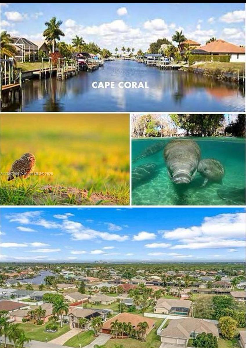 City of Cape Coral - Land