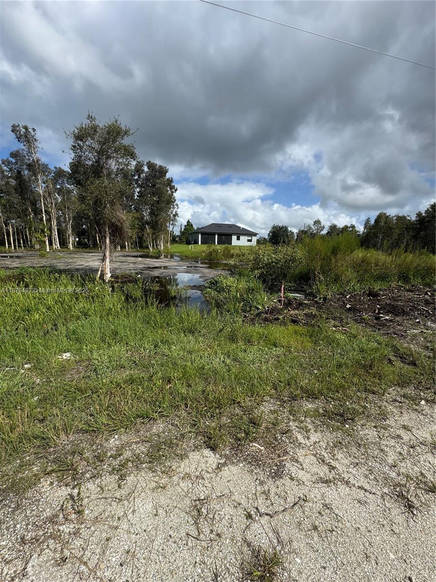 Lehigh Acres - Land