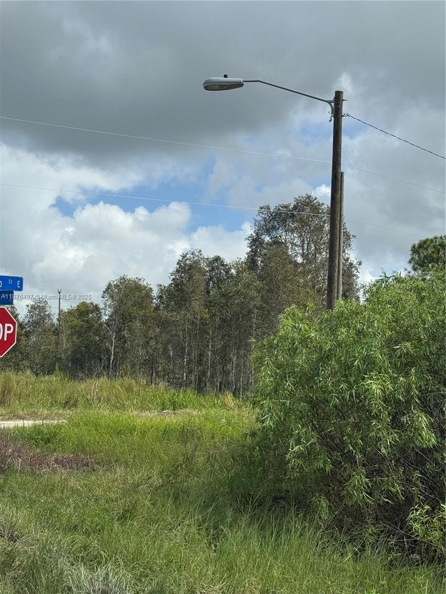 Lehigh Acres - Land