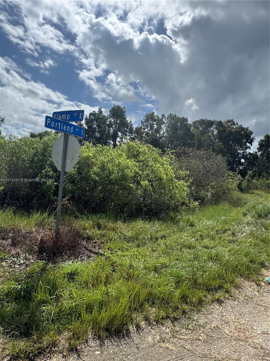Lehigh Acres - Land