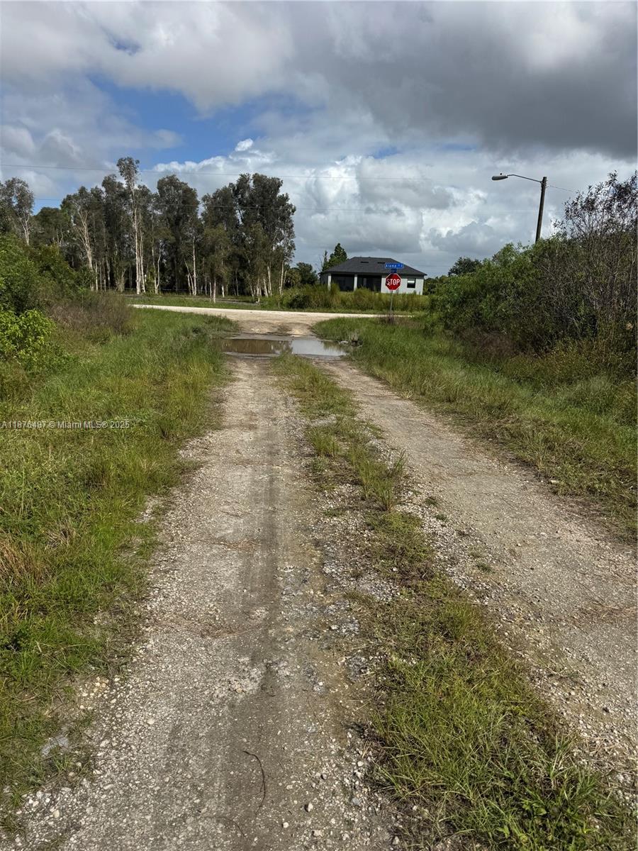 Lehigh Acres - Land
