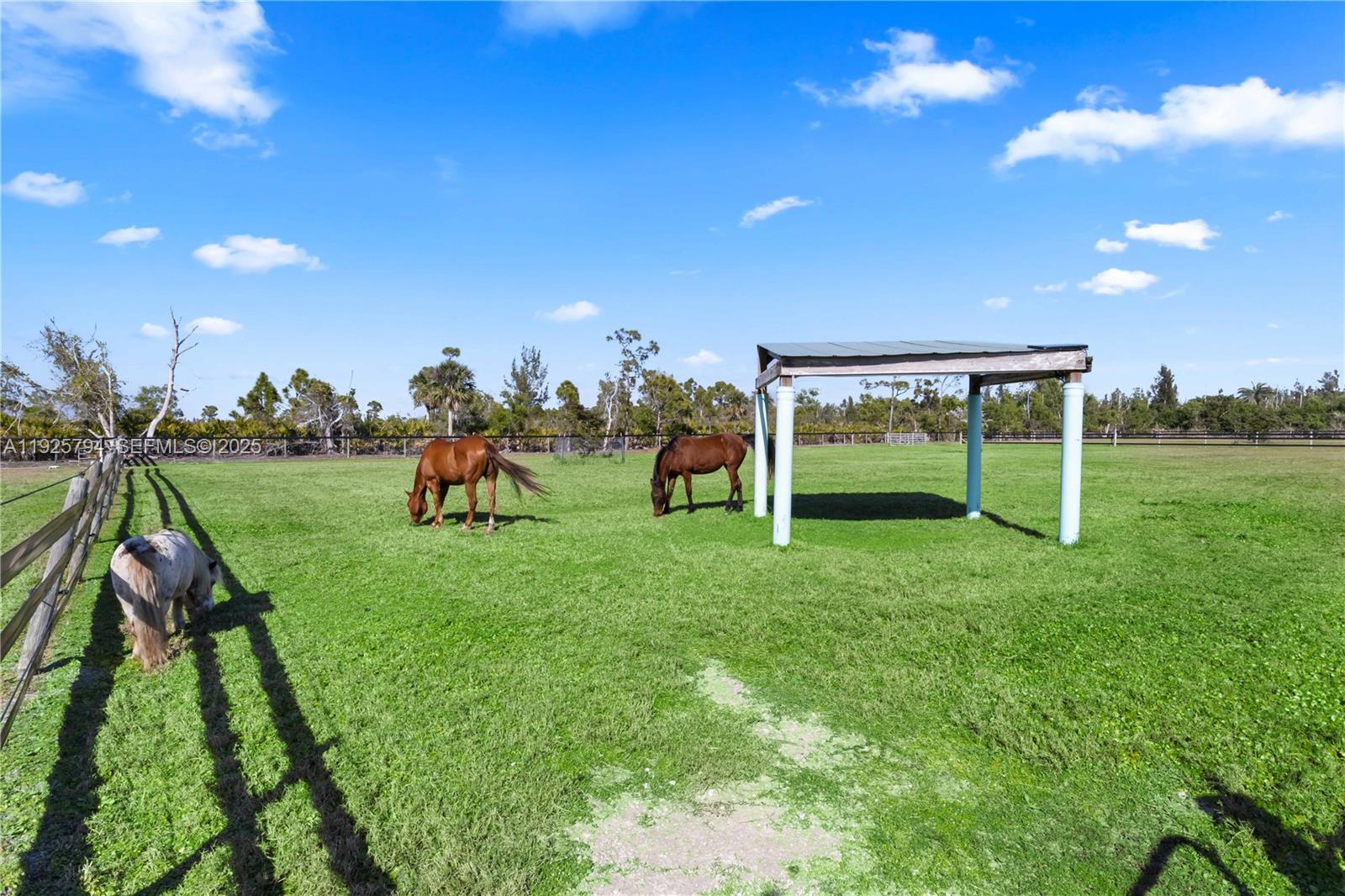 ST JAMES CITY - Residential