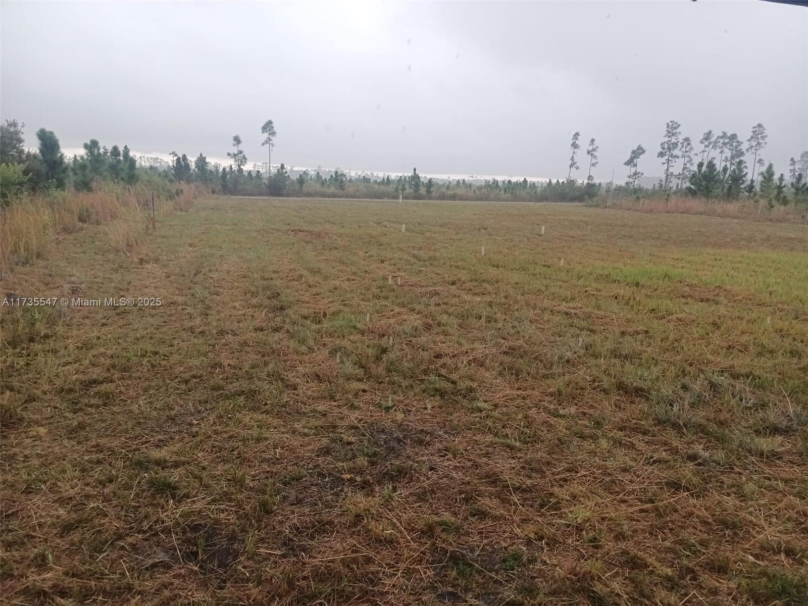 INDIAN LAKE ESTATES UNIT14 - Land