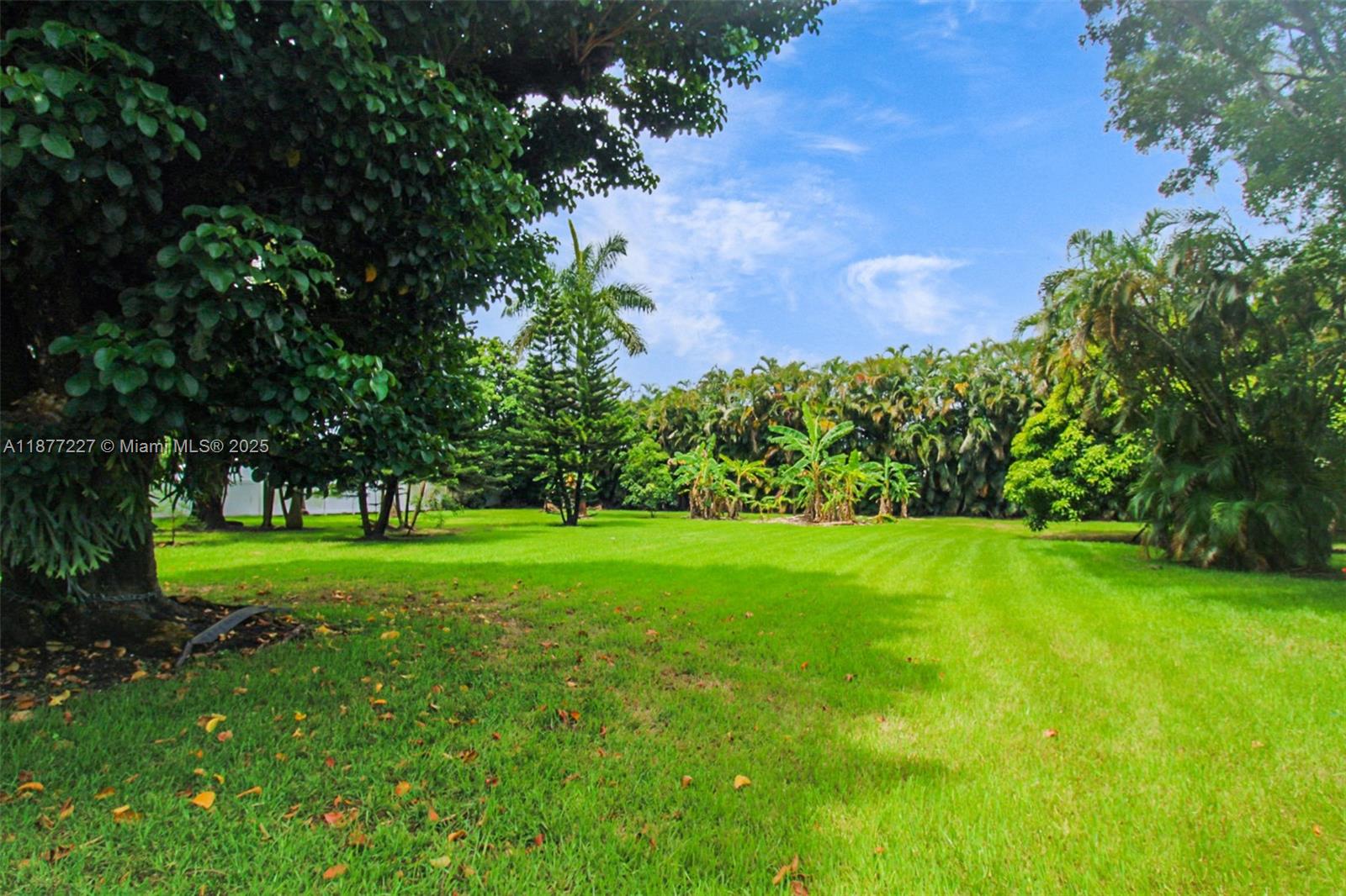 CHAMBERS LAND CO SUB SE1/ - Residential Lease