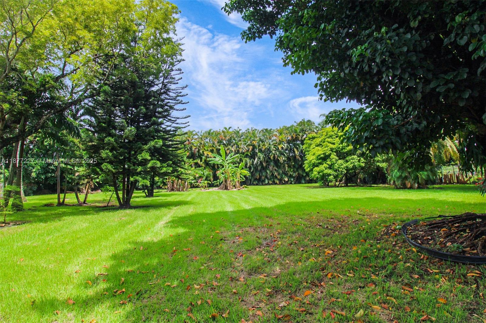 CHAMBERS LAND CO SUB SE1/ - Residential Lease