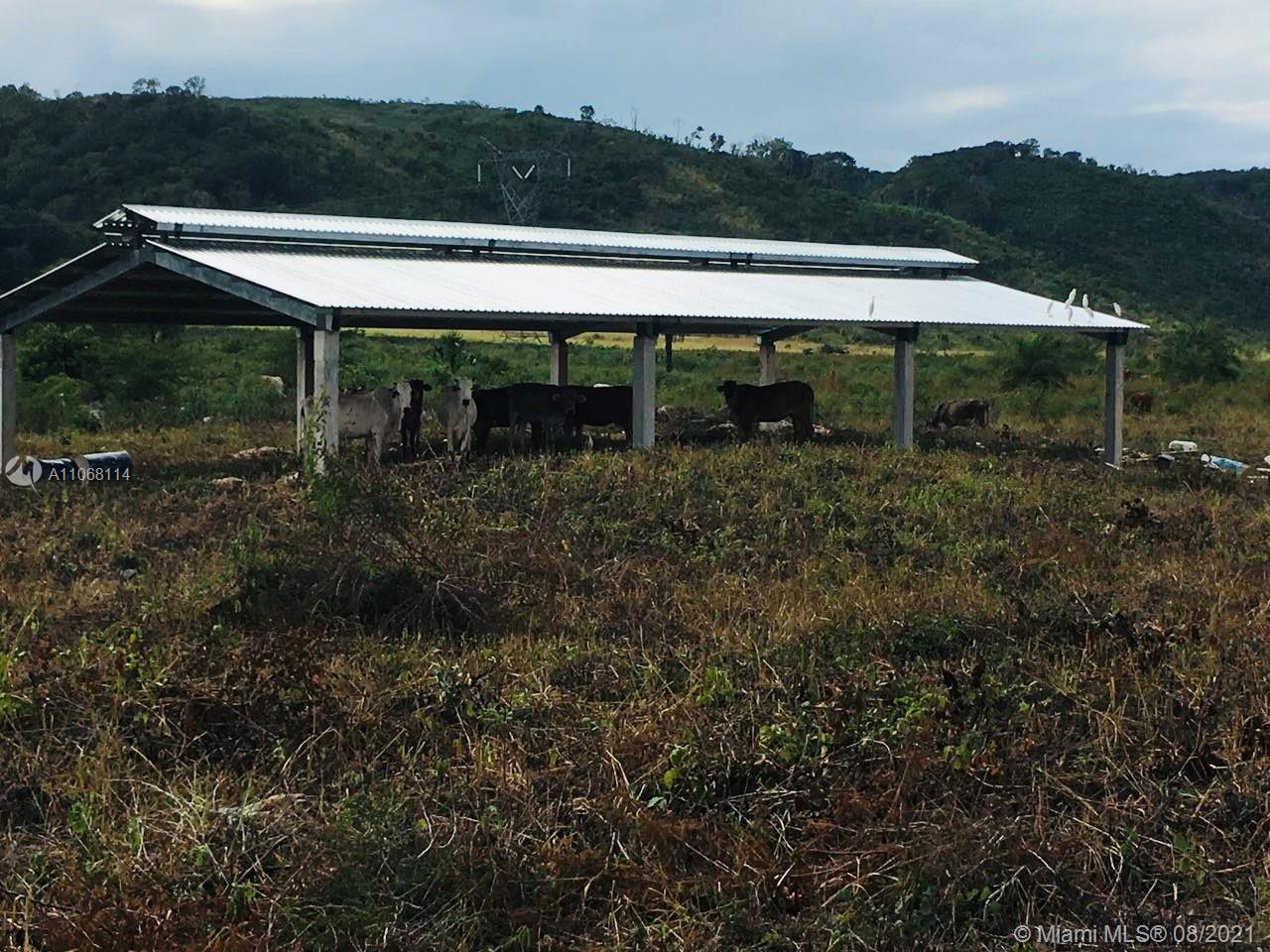 MERIDA YUCATAN - Land