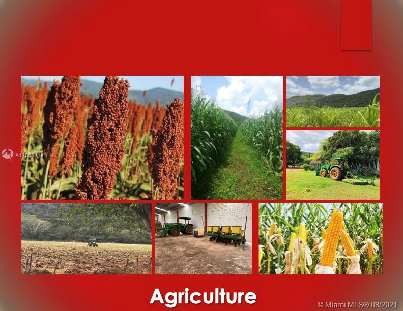 MERIDA YUCATAN - Land