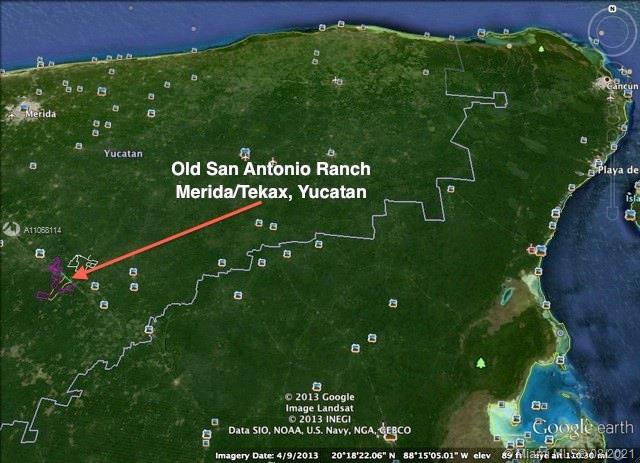 MERIDA YUCATAN - Land