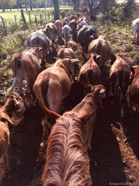 MERIDA YUCATAN - Land