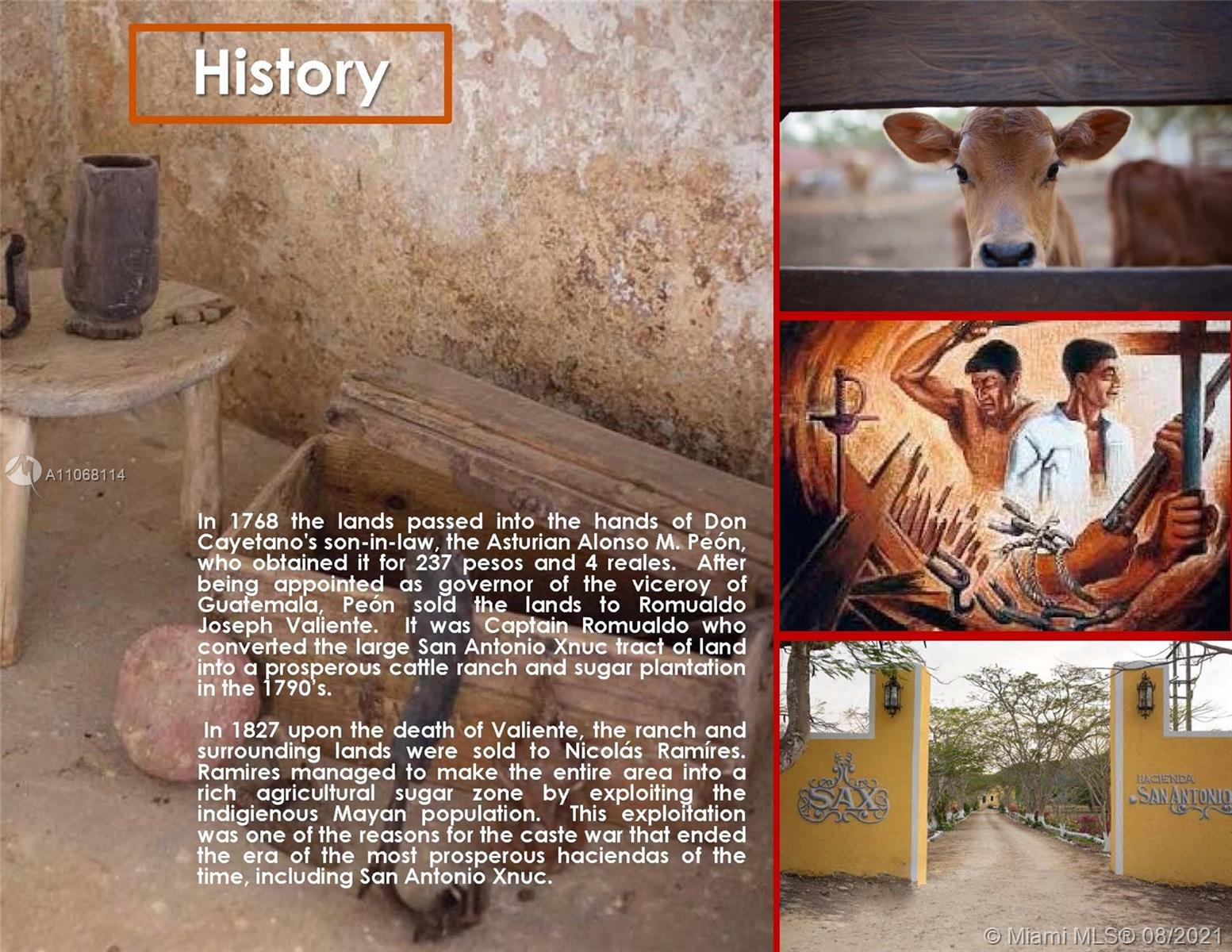 MERIDA YUCATAN - Land