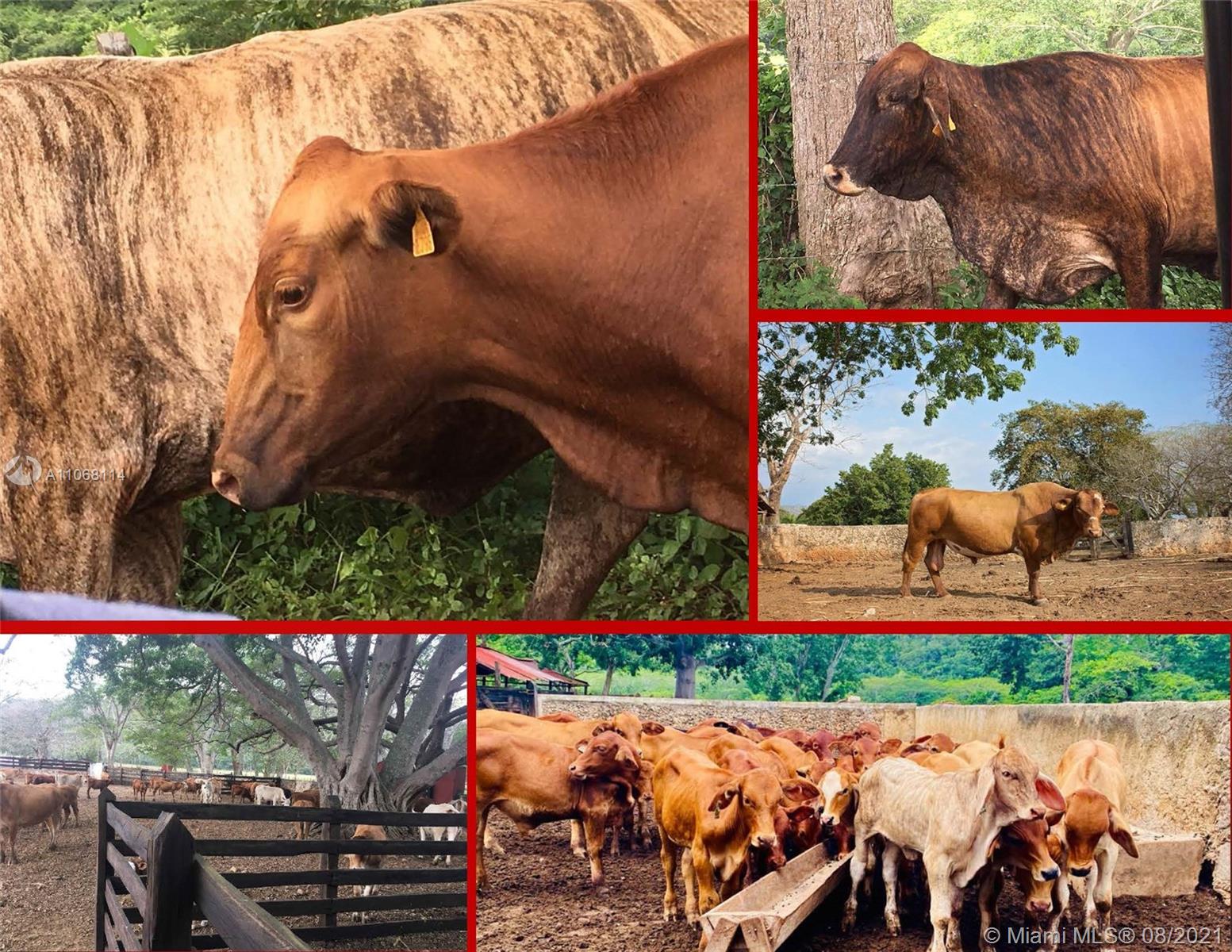 MERIDA YUCATAN - Land