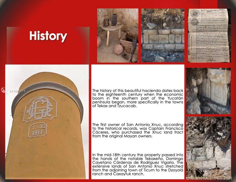 MERIDA YUCATAN - Land