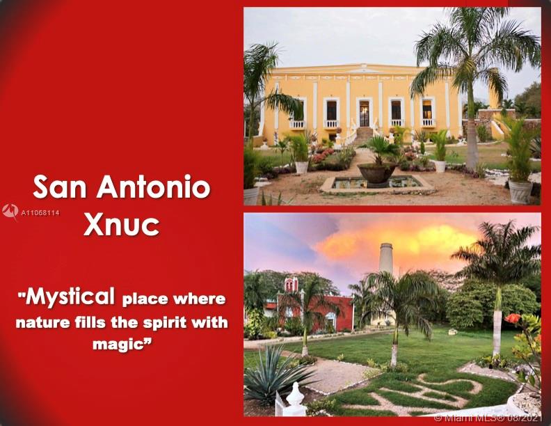 MERIDA YUCATAN - Land