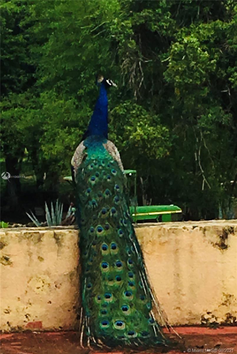 MERIDA YUCATAN - Land