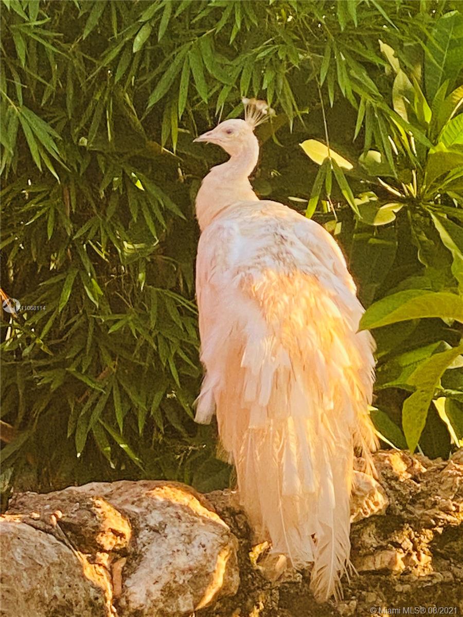 MERIDA YUCATAN - Land