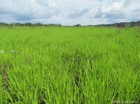 MERIDA YUCATAN - Land
